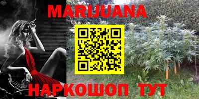 прущие грибы Абинск