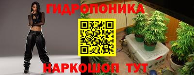ПСИЛОЦИБИНОВЫЕ ГРИБЫ Лесосибирск